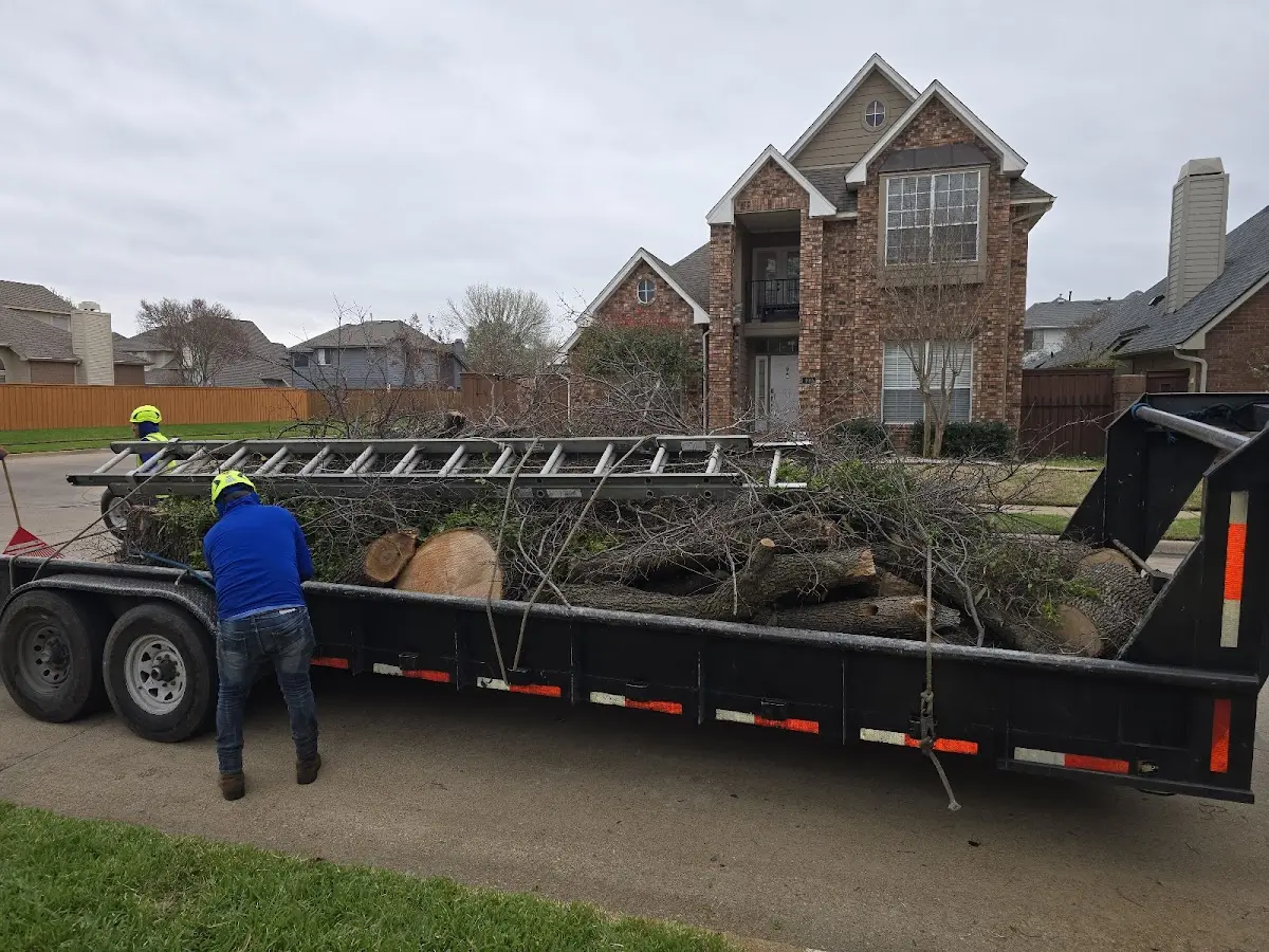 Expert Tree Pest Control with proper safety equipment in Wood Ridge